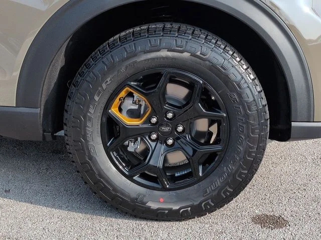 New 2026 Gray Ford Tremor image 11