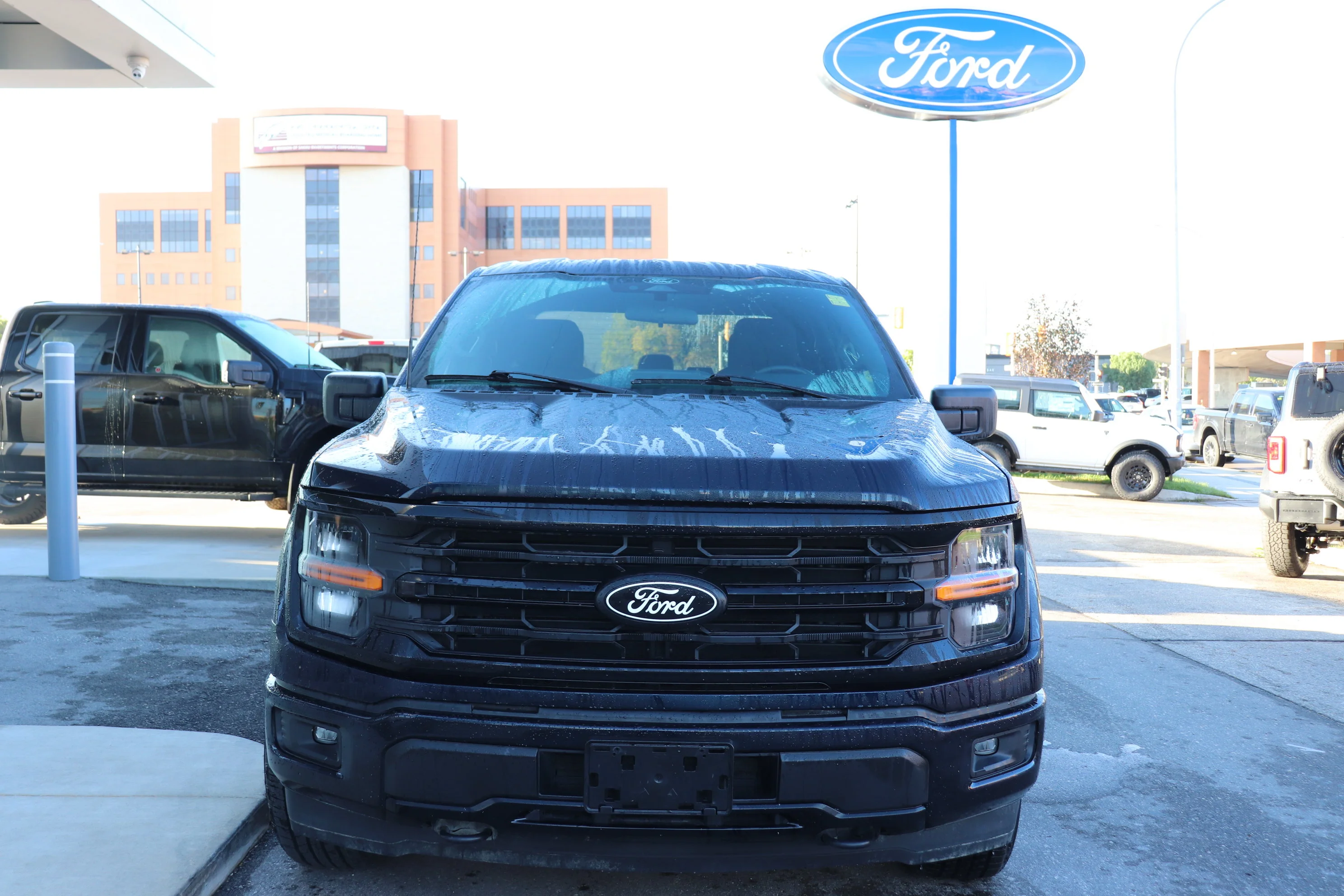 Certified Used 2025 Blue Ford XLT 4WD SuperCrew 5.5