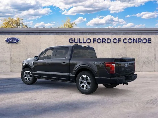 New 2026 Agate Black Metallic Ford Platinum image 6
