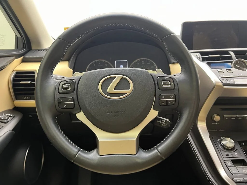 Used 2019 Silver Lexus 300 Base image 18