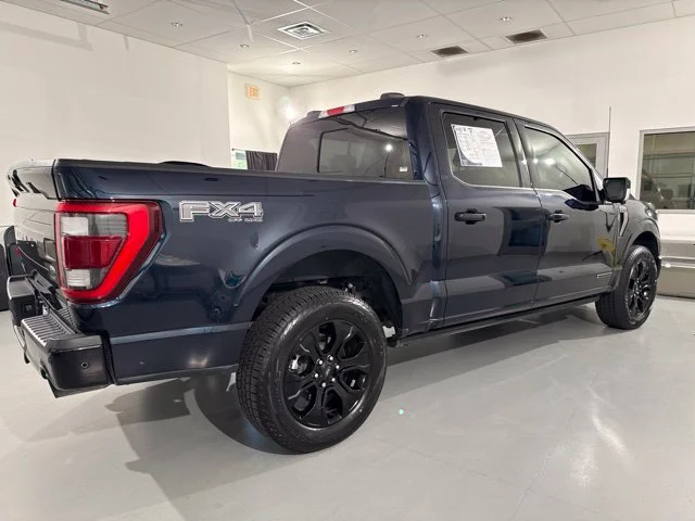 Used 2023 Blue Ford Platinum image 10