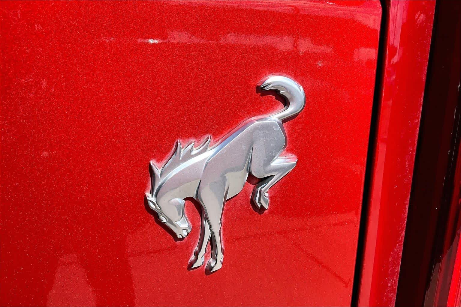 Used 2023 Hot Pepper Red Metallic Tinted Clearcoat Ford Big Bend image 10