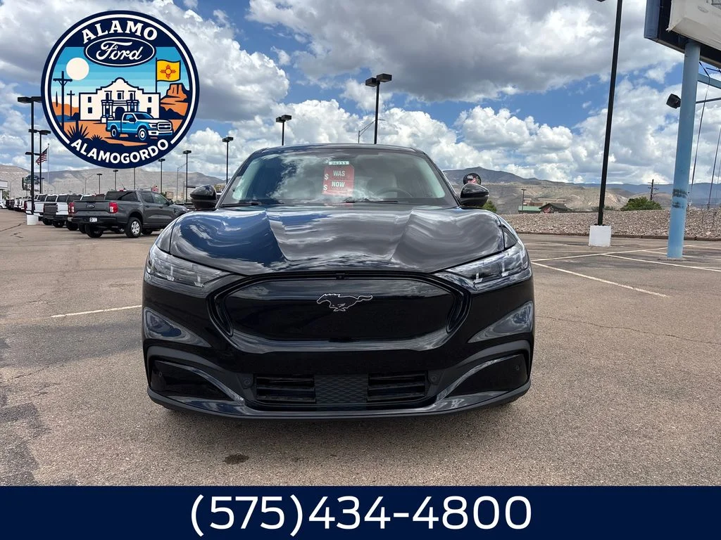 New 2026 Shadow Black Ford Premium image 8