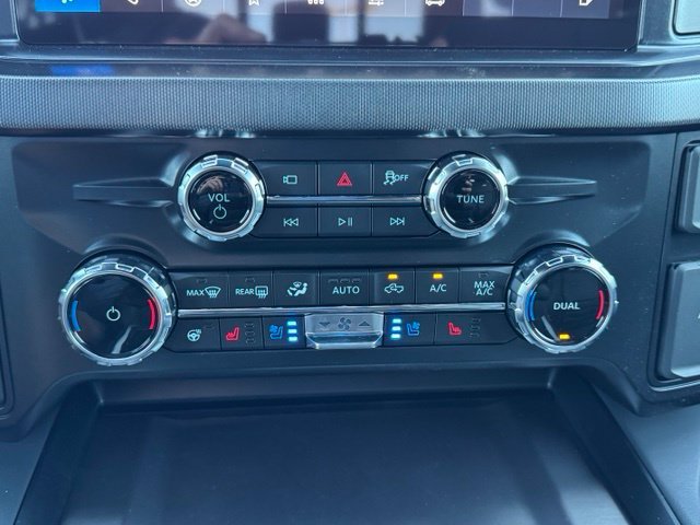 New 2027 Carbonized Gray Metallic Ford F-250® Platinum® image 33