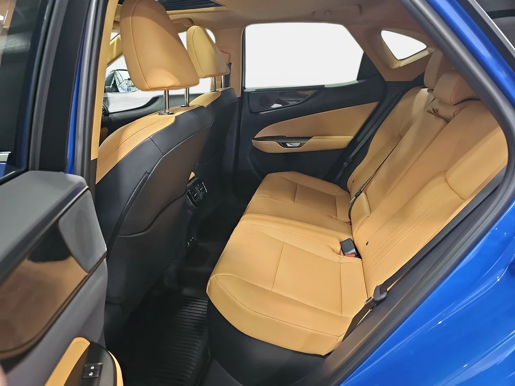 New 2026 Grecian Water Lexus PREMIUM image 10