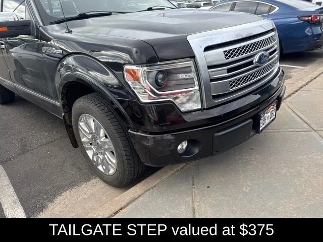 Used 2014 Brown Ford Platinum image 4