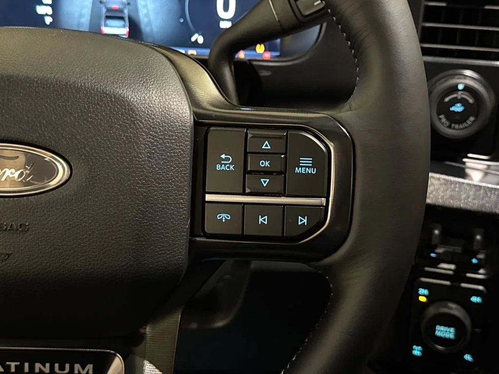 New 2026 White Ford Platinum image 40