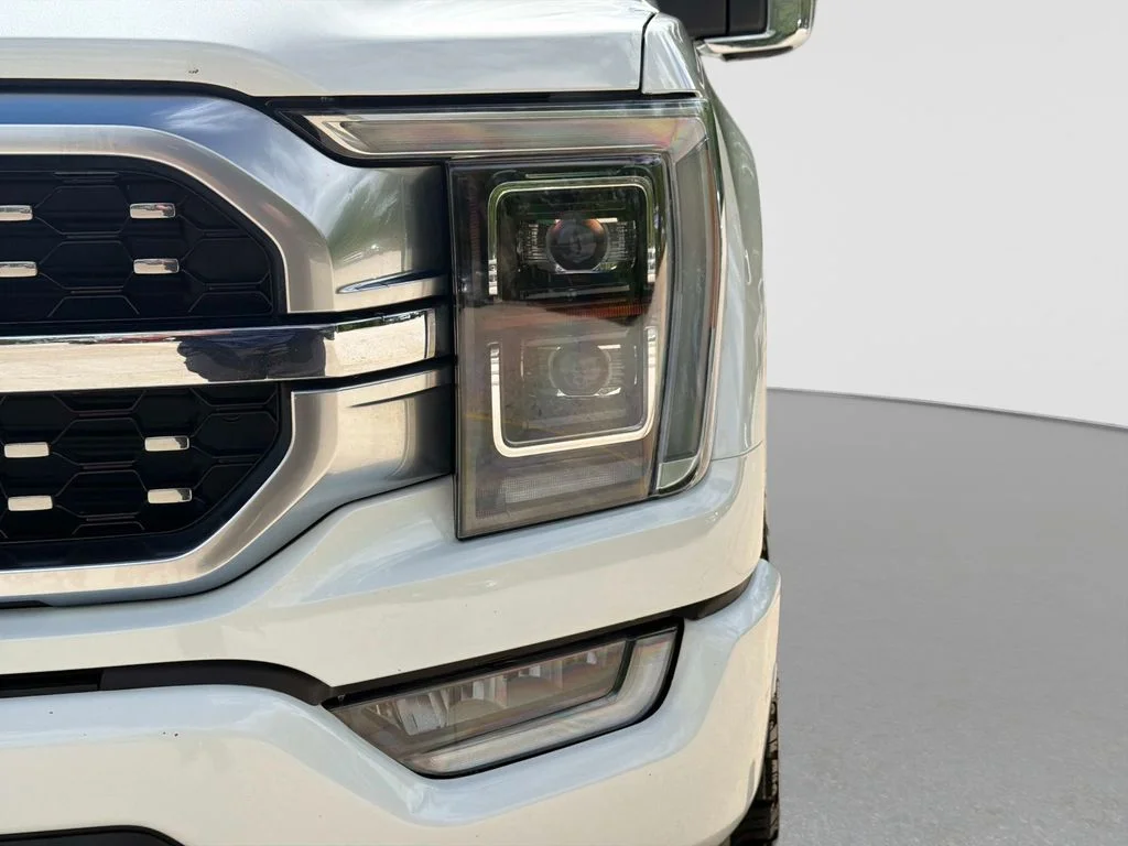 Used 2022 Star White Ford Platinum image 11