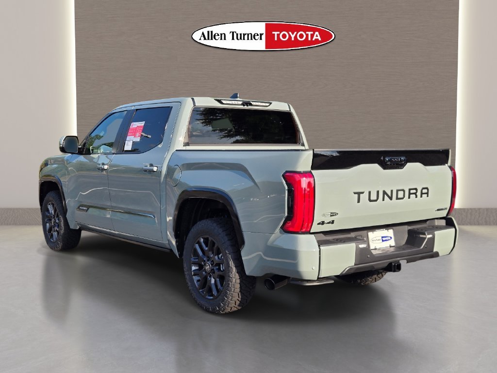 New 2026  Toyota Platinum image 9