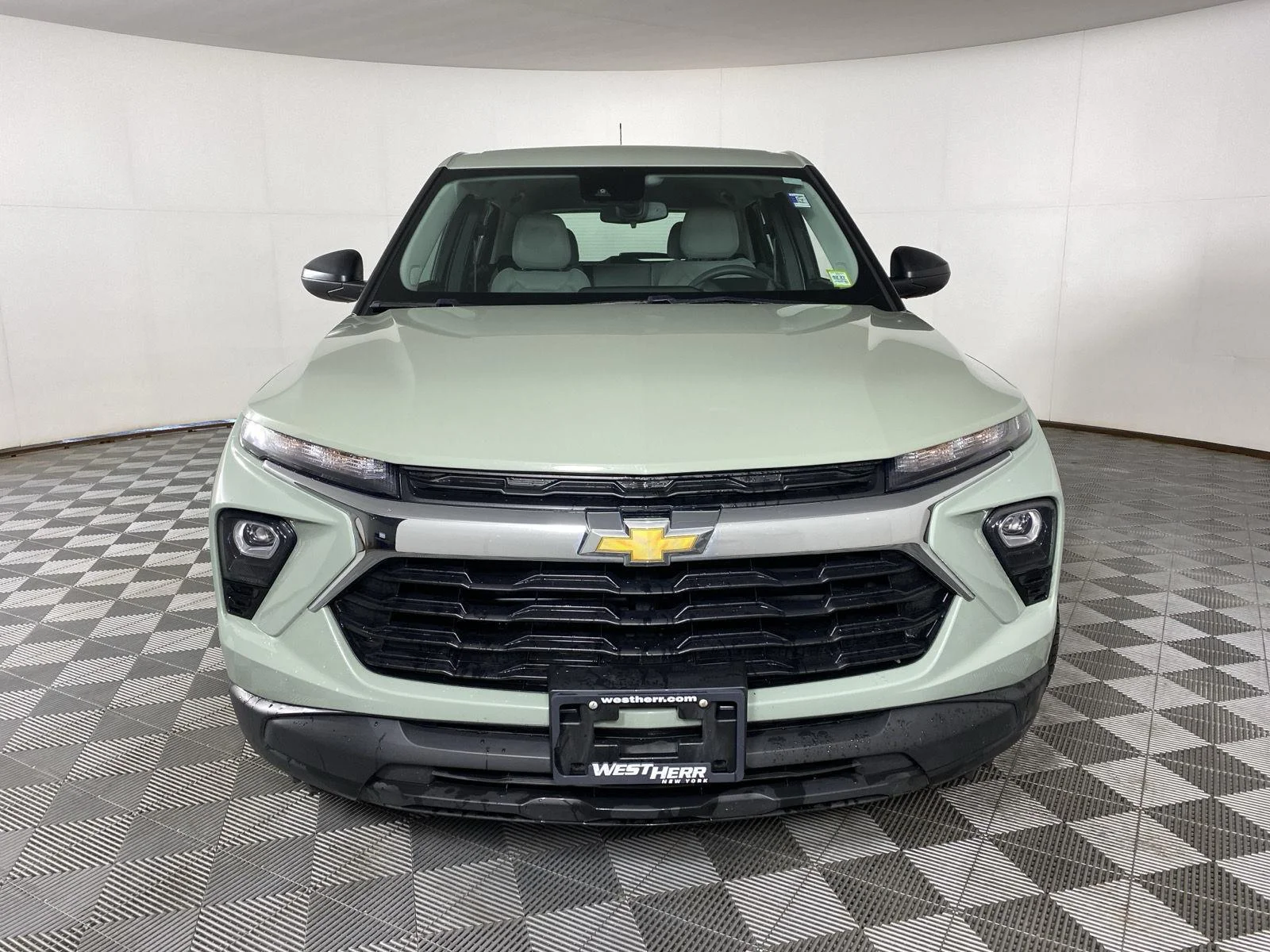 Used 2025 Cacti Green Chevrolet LS image 2