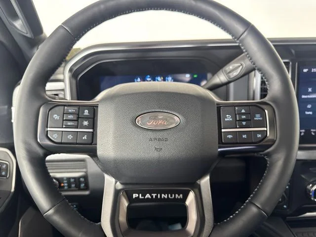 New 2026 Carbonized Gray Metallic Ford Platinum image 18