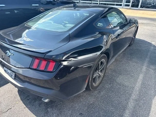 Used 2024 Black Ford EcoBoost Premium image 8