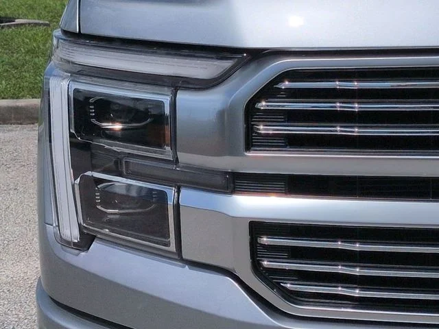 New 2026 Silver Ford Platinum image 10