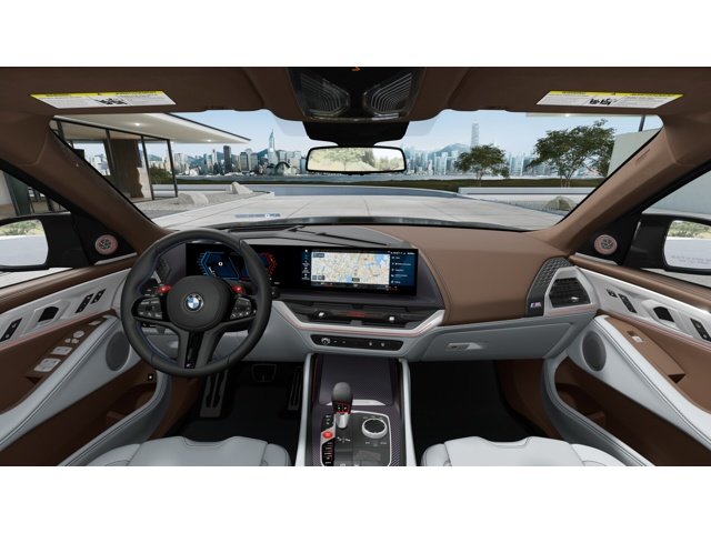 New 2026 Brass Metallic BMW Label image 10