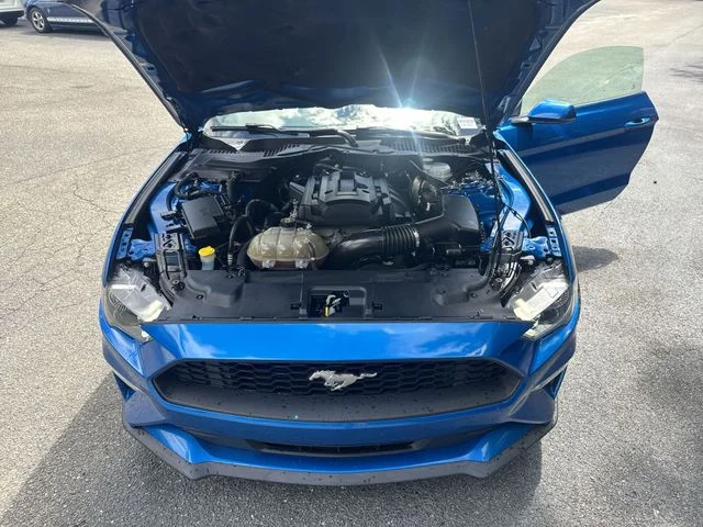Used 2019 Blue Ford EcoBoost Premium image 30