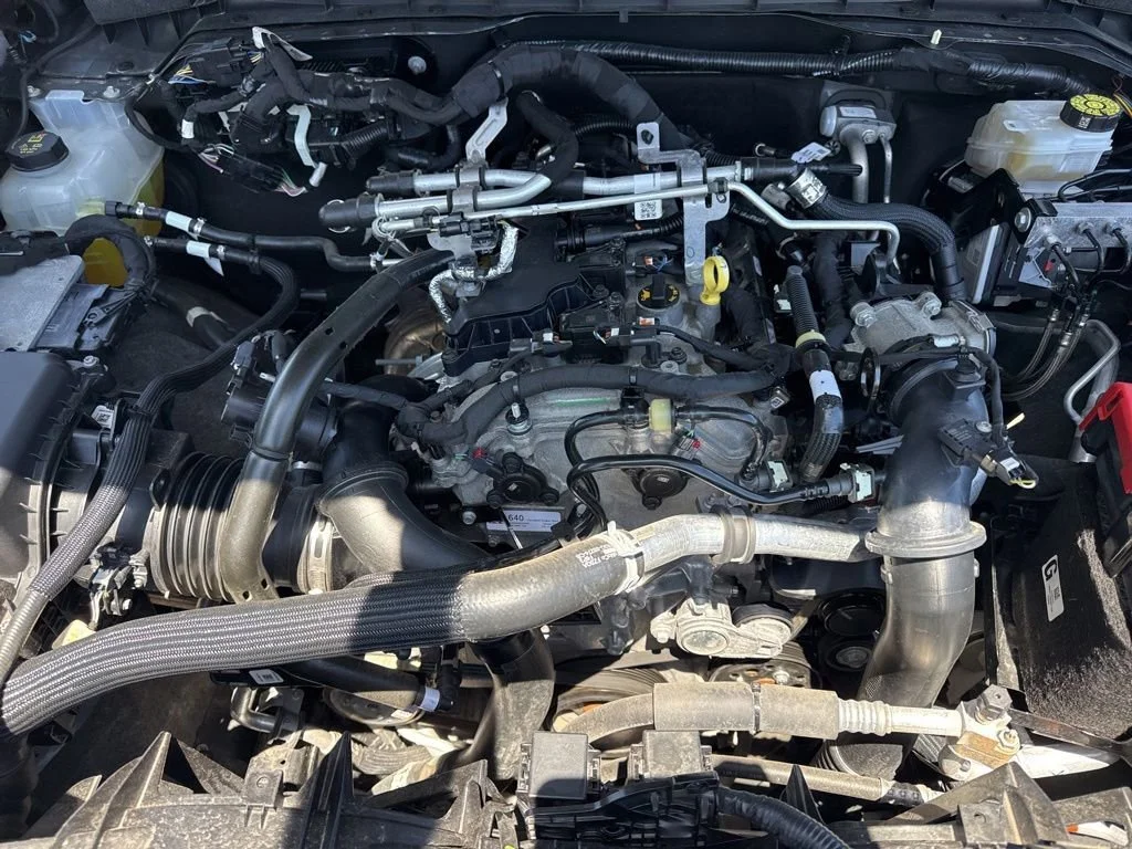 Used 2025 Gray Ford Big Bend image 30