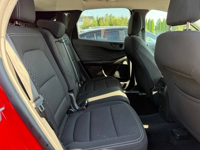 Used 2024 Race Red Ford Active image 14