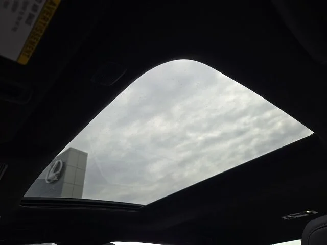 New 2026 Iridium Lexus PREMIUM image 13