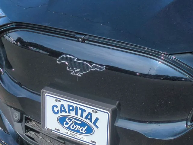 Used 2024 Black Ford Premium image 36