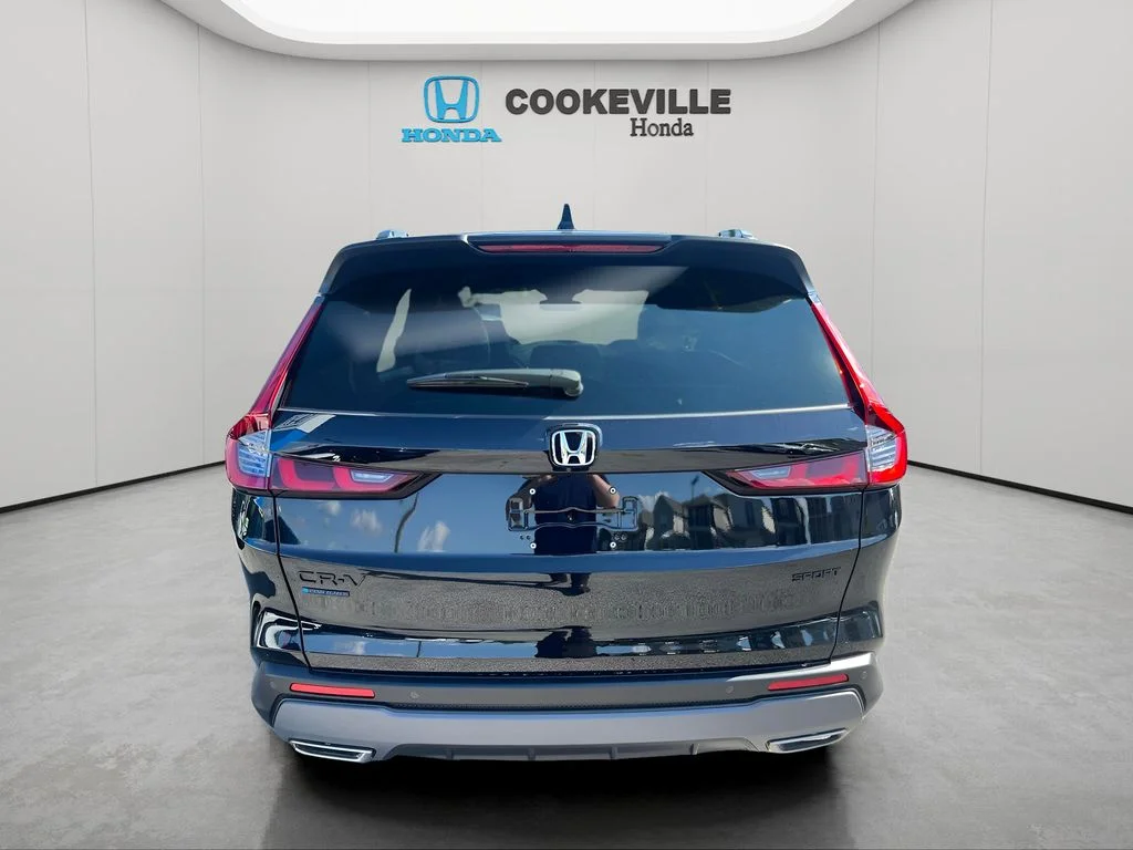 Used 2026 Black Honda Sport-L image 5