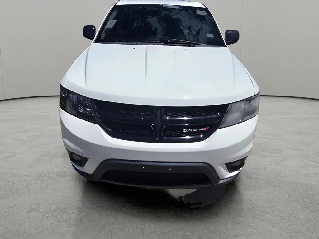 Used 2019 Vice White Dodge SE image 15