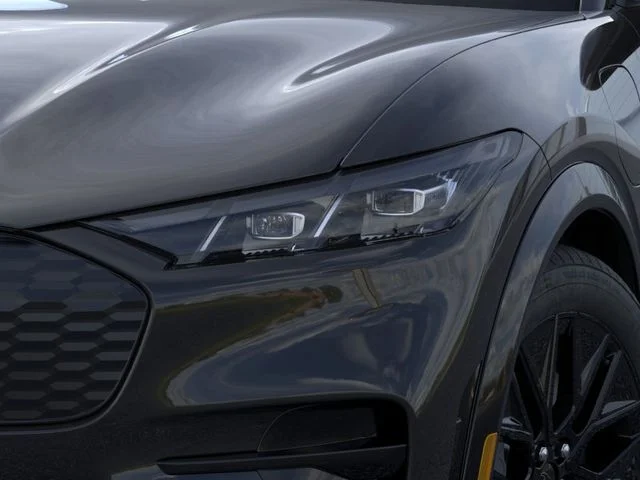 New 2026 Shadow Black Ford Premium image 18