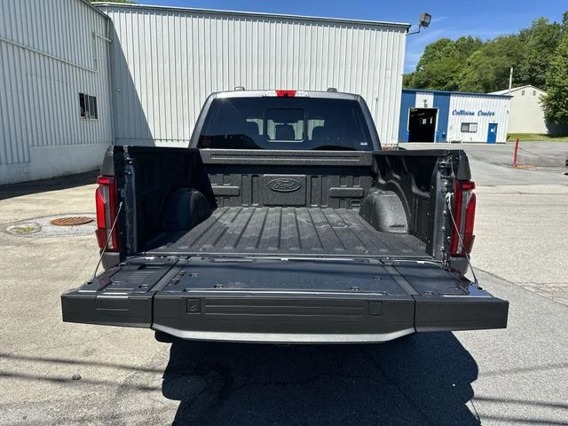 New 2026 Carbonized Gray Metallic Ford Platinum® image 23
