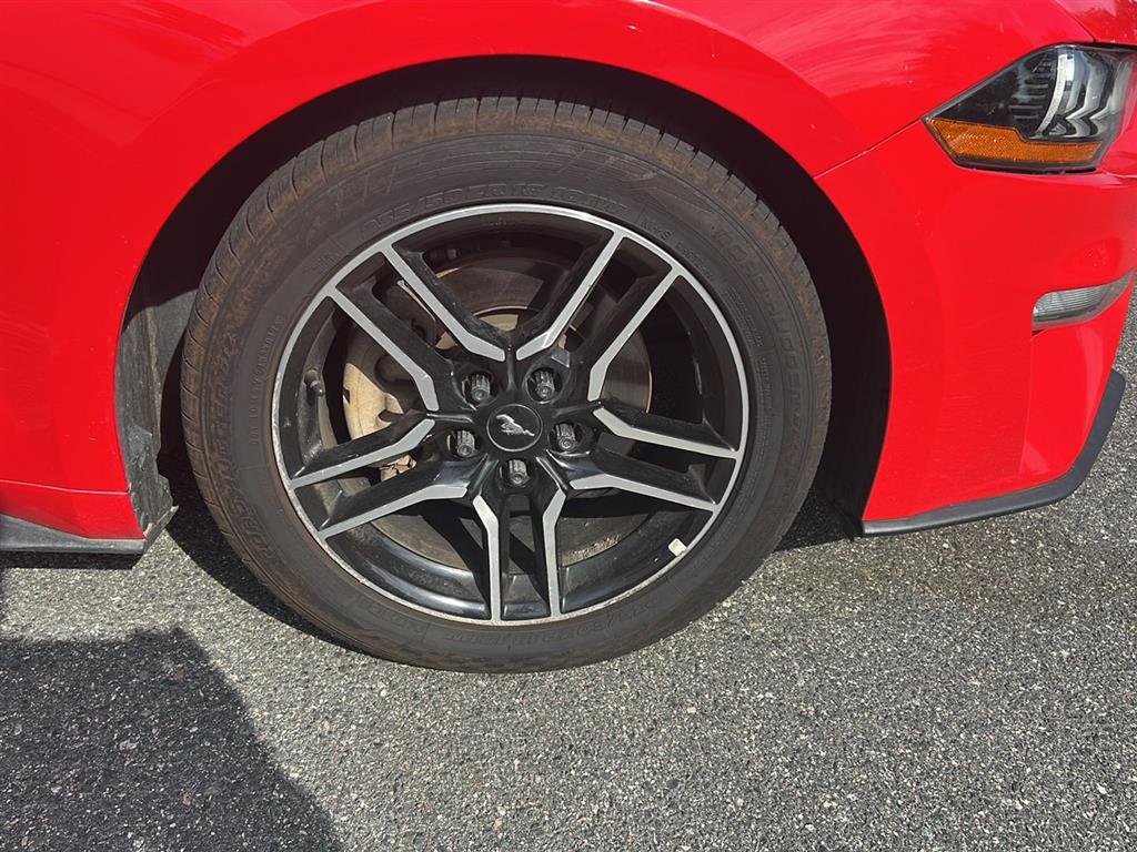 Used 2019 Race Red Ford EcoBoost Premium image 15
