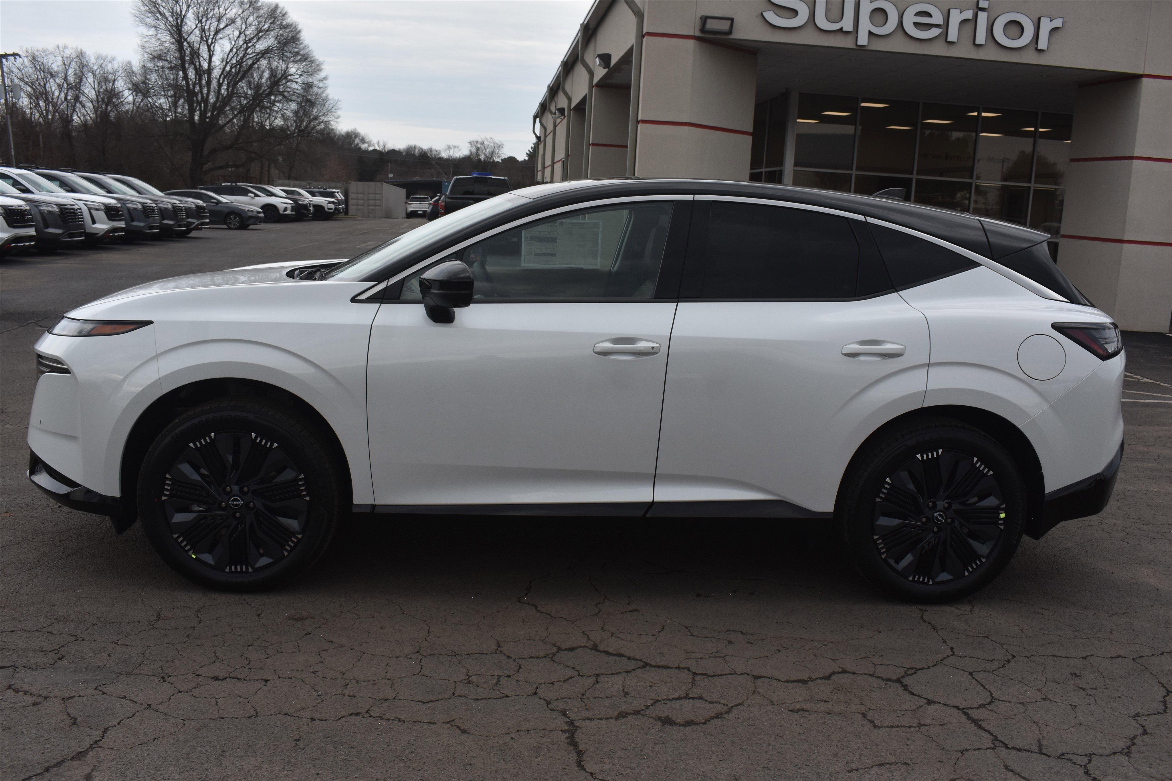 New 2026 Everest White Pearl TriCoat / Super Black Two-tone Nissan Platinum image 10