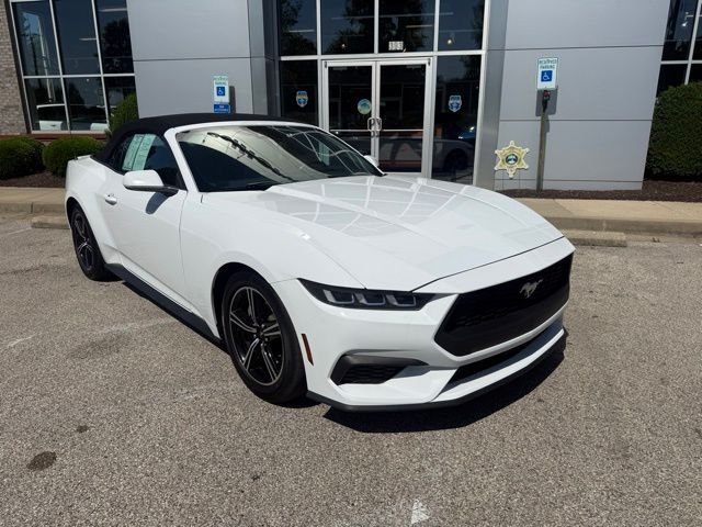 Used 2024 White Ford EcoBoost Premium image 8