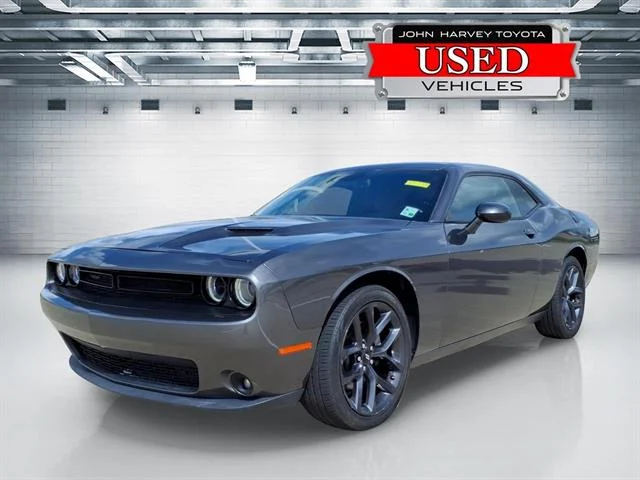 Used 2019 Granite Pearl Coat Dodge SXT image 1