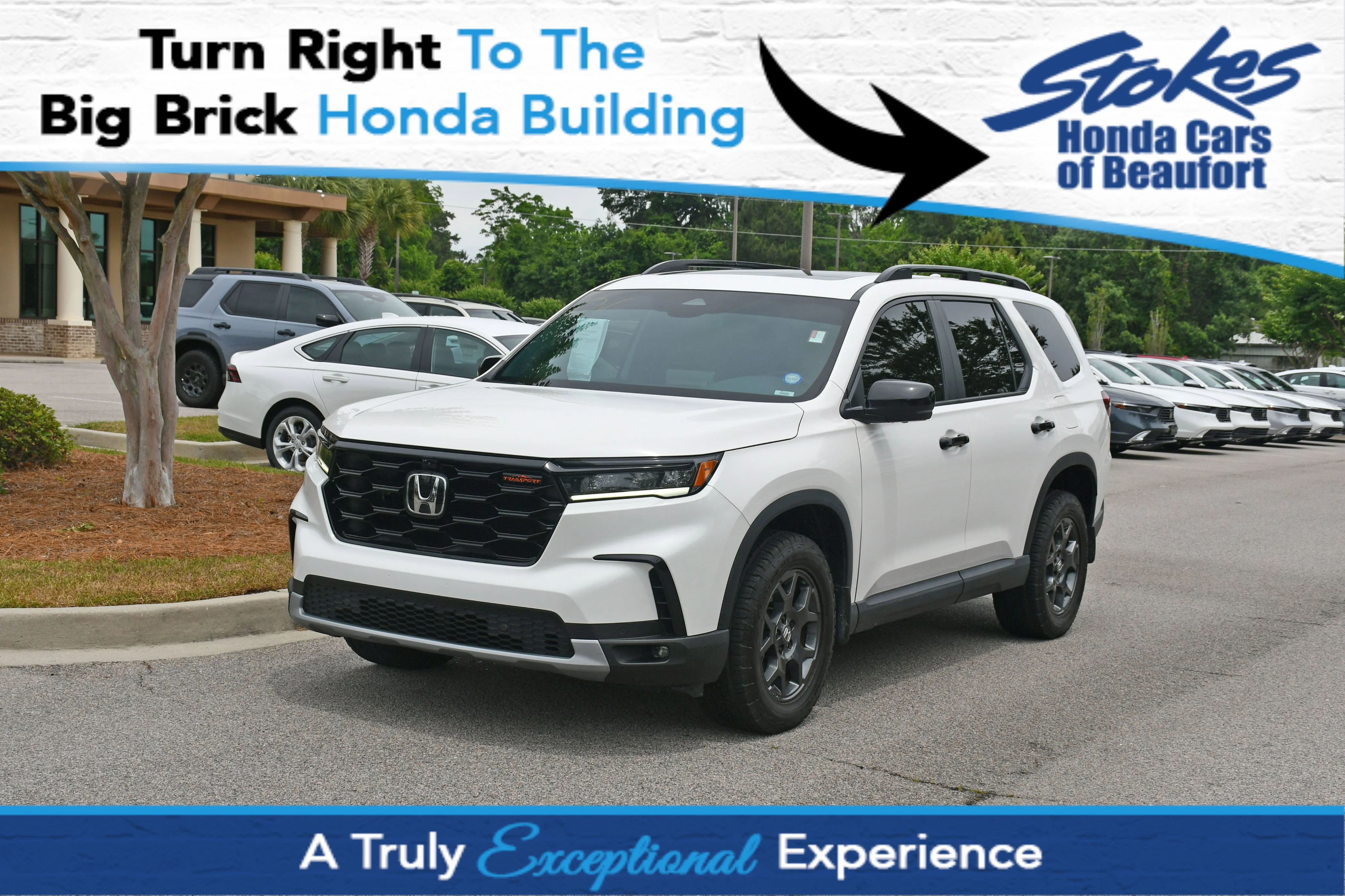 2025 Honda Pilot TrailSport AWD's photo