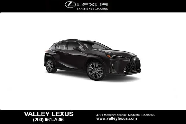 2021 Lexus UX 300h 250h F SPORT AWD's photo