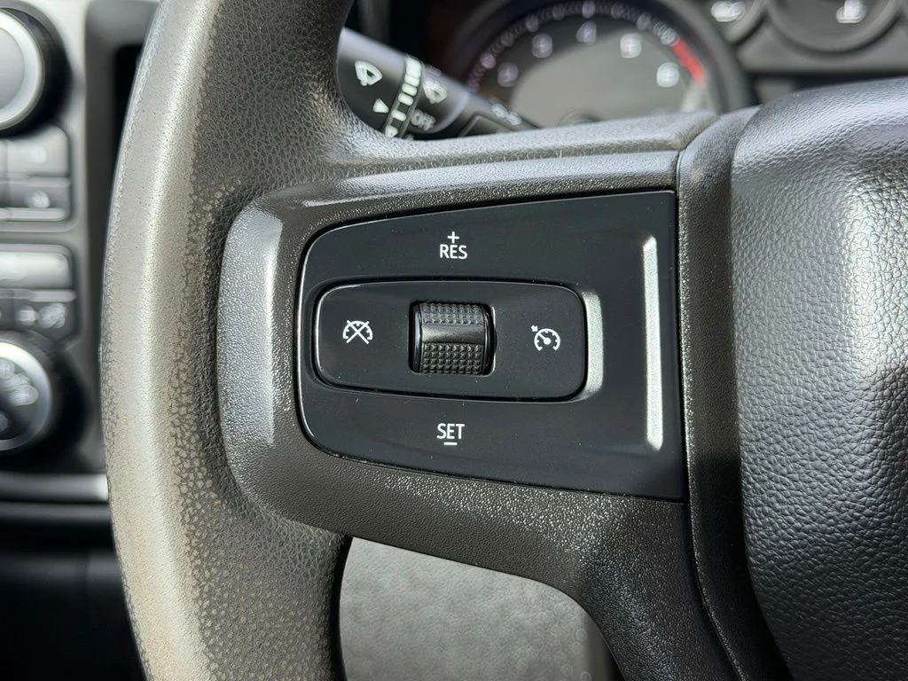 Used 2019 Gray Chevrolet Custom Trail Boss image 18