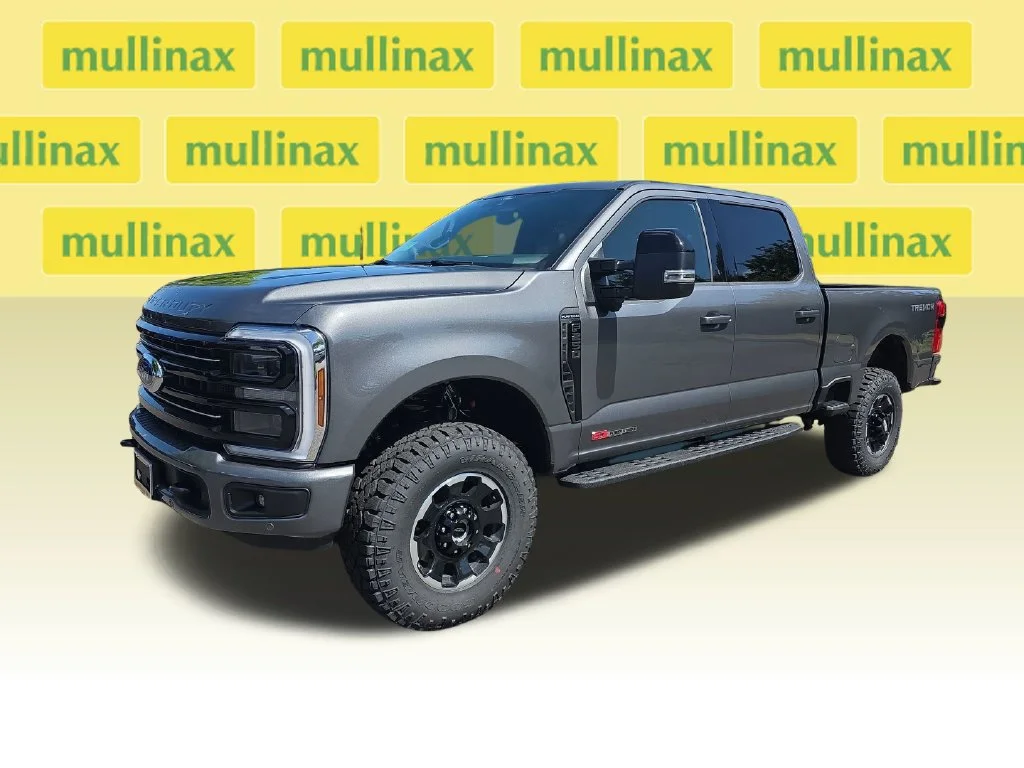 New 2026 Gray Ford Platinum image 10