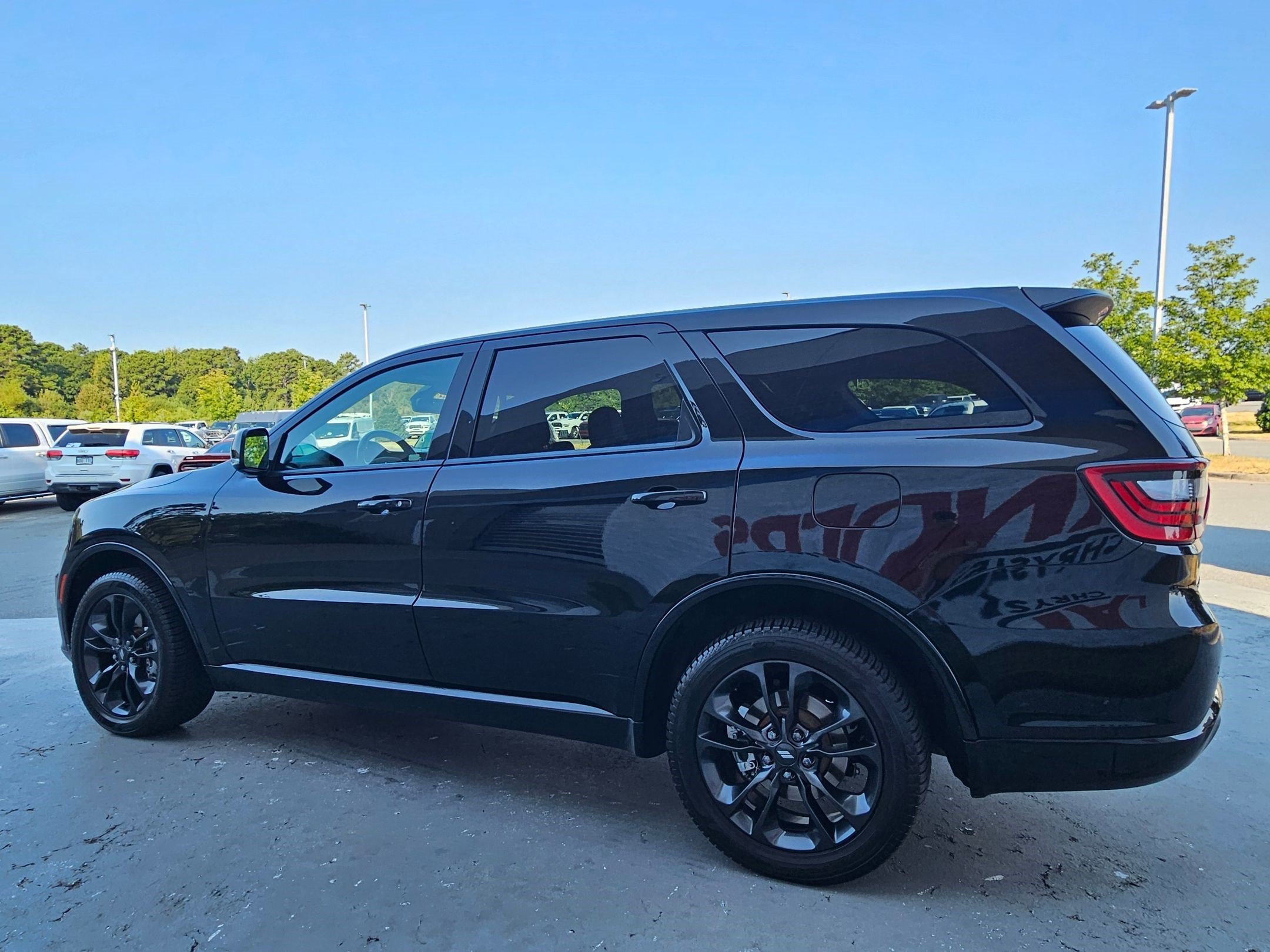 Photo 5