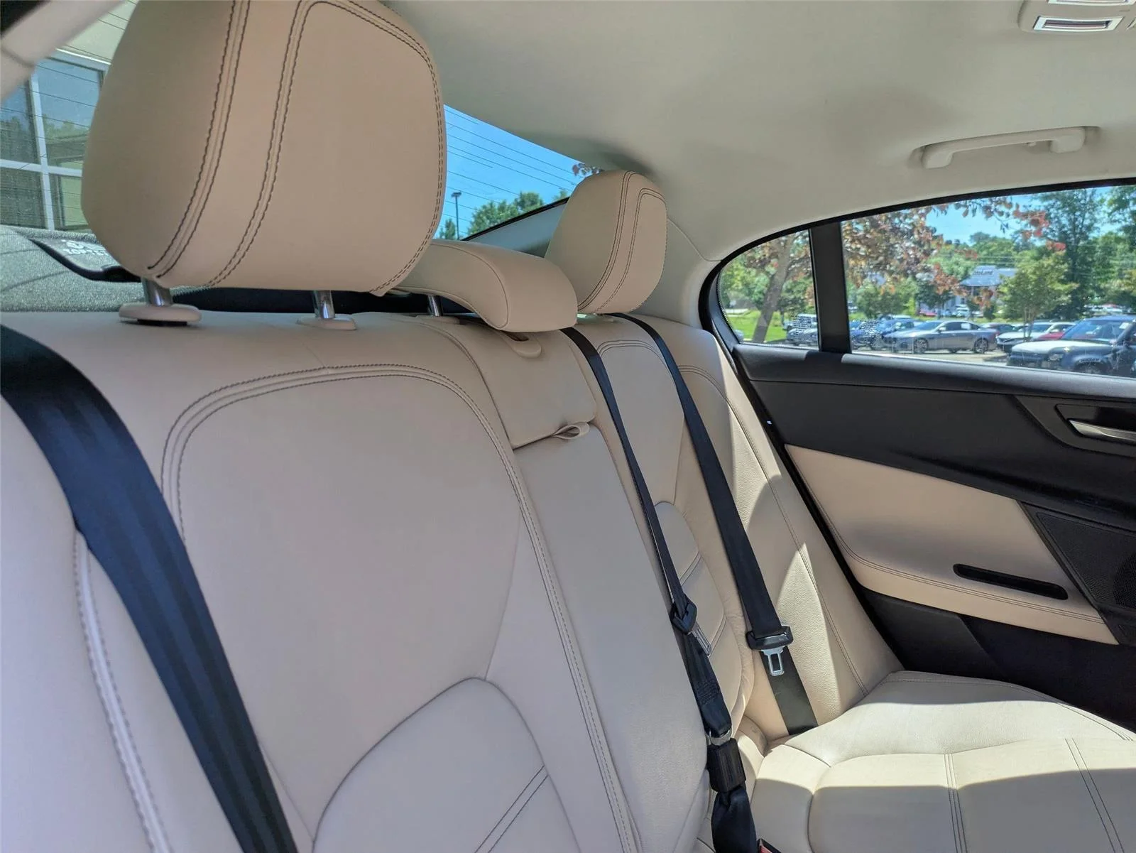 Used 2019 Narvik Black Jaguar 25t Prestige image 47