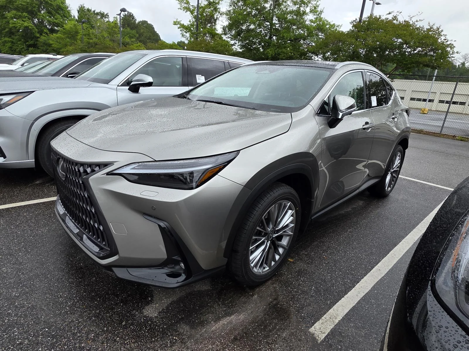 2026 Lexus NX 350 350 Luxury AWD's photo