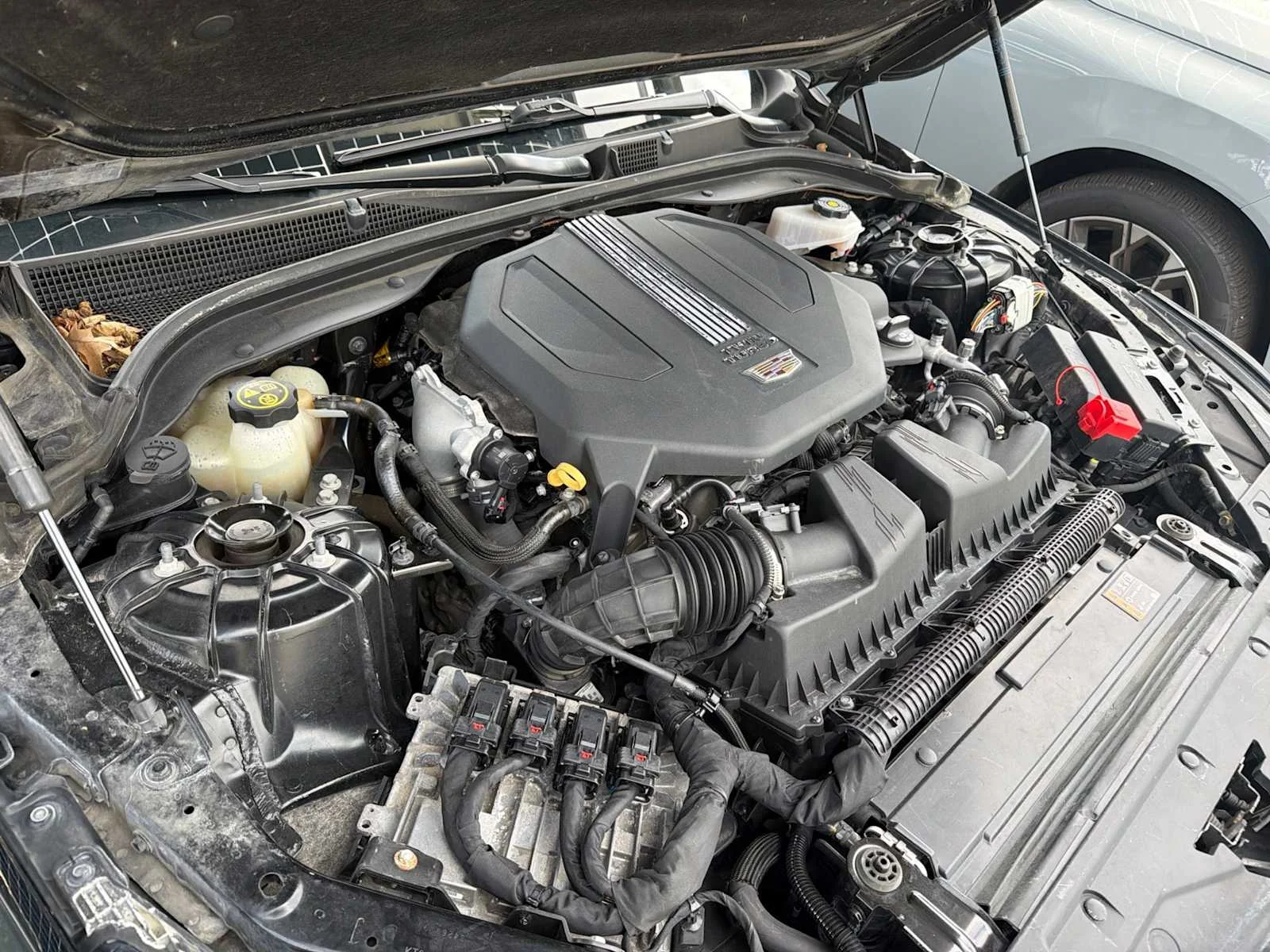 Used 2020 Black Raven Cadillac Premium Luxury image 8