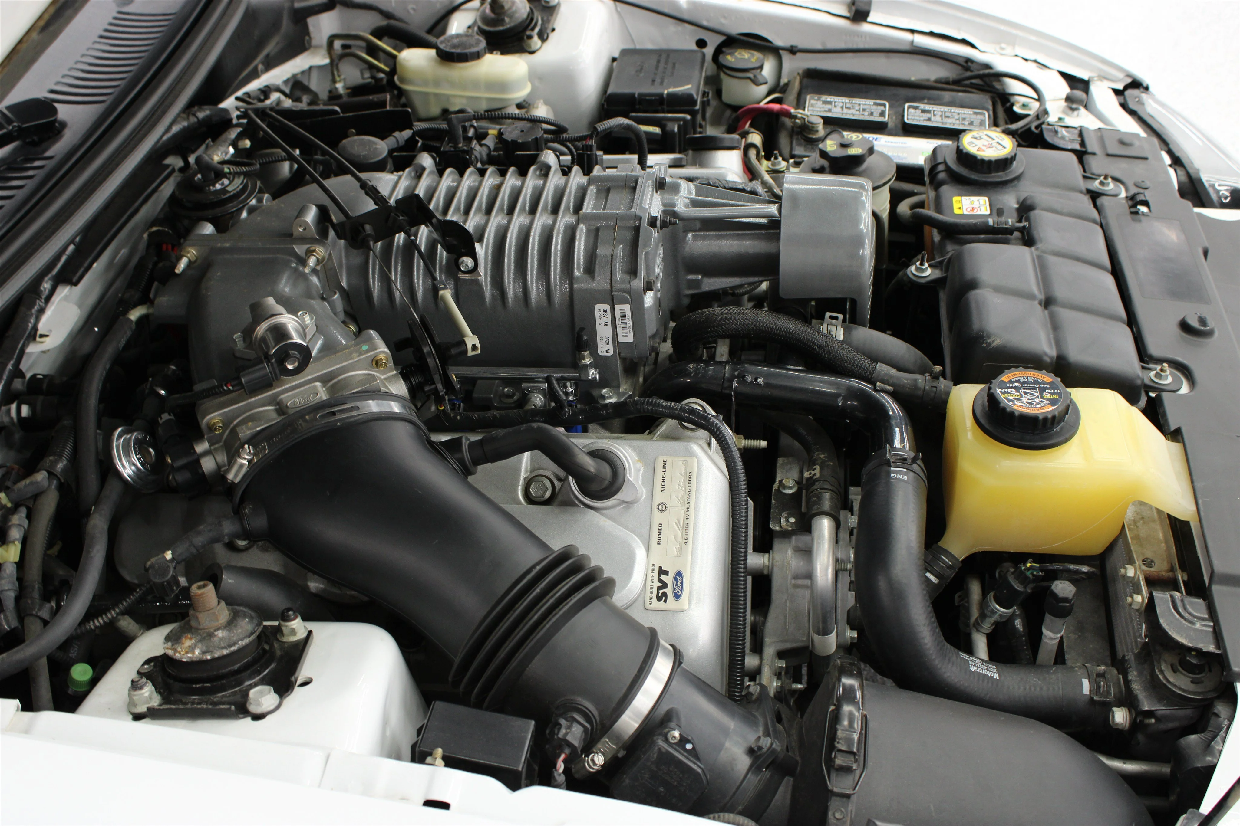 2004 Ford Mustang Cobra SVT - Photo 30