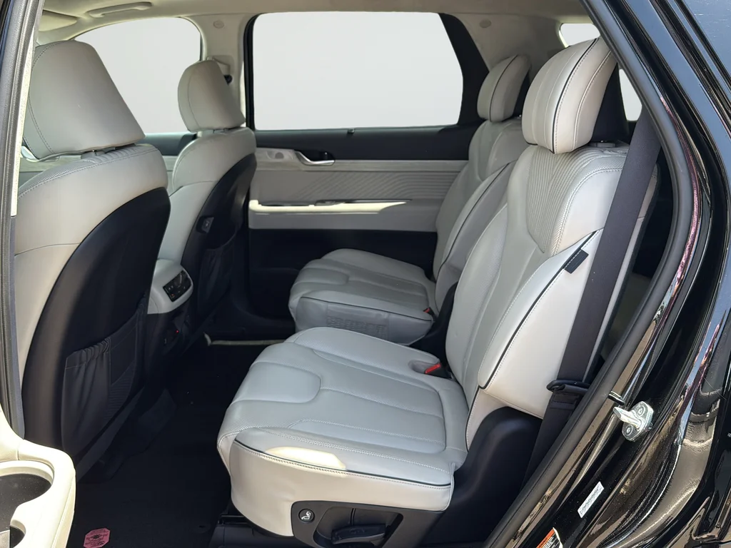 Used 2023 Black Hyundai Calligraphy image 17