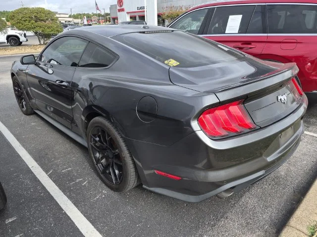 Used 2019 Magnetic Ford EcoBoost Premium image 2