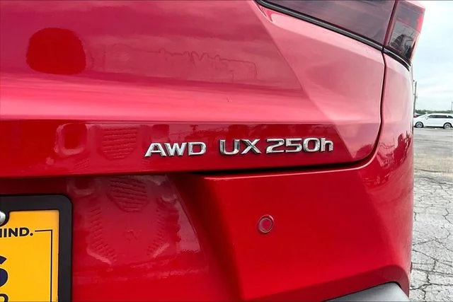 Used 2023 Red Lexus 250h Premium image 24