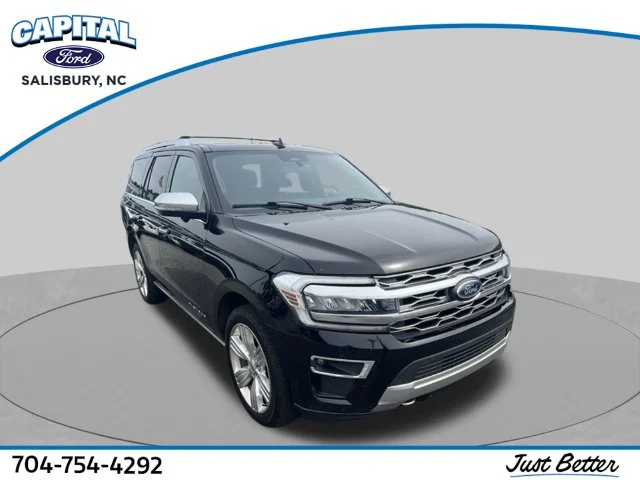 Used 2023 Black Ford Platinum image 1
