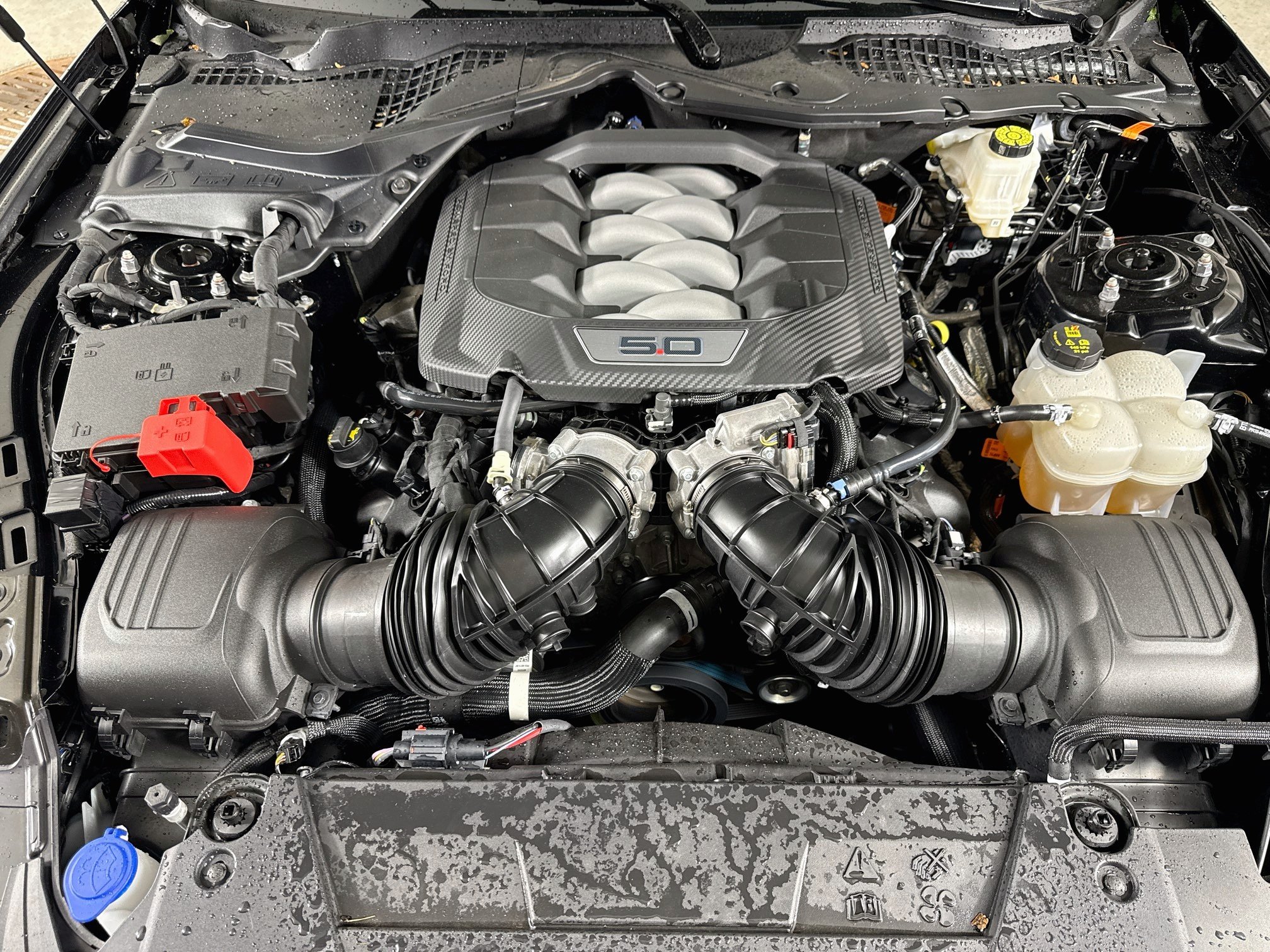 Used 2024 Blk Ford GT image 28