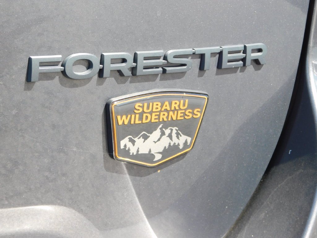 Used 2024 Gray Metallic Subaru Wilderness image 43