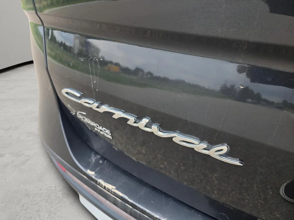 Used 2022 Pantera Metal Kia LX image 29