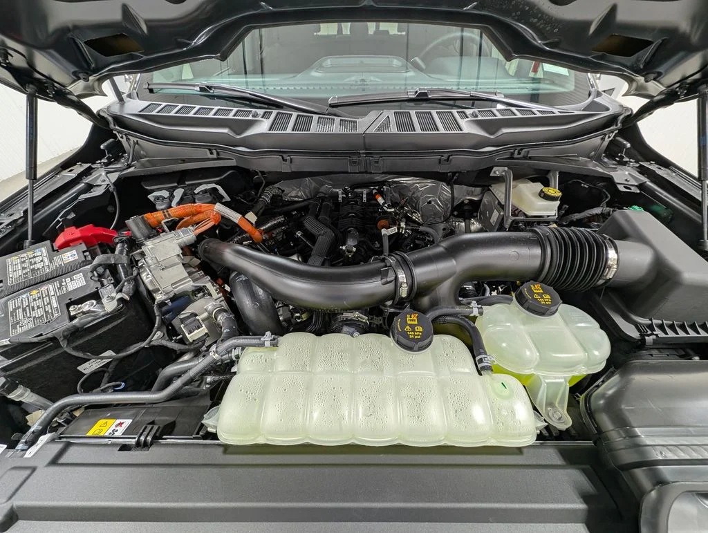 New 2025 Marsh Gray Ford XLT image 10