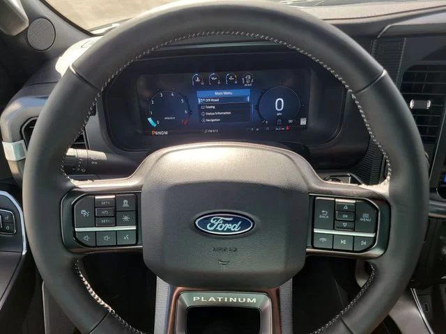 New 2026 Black Metallic Ford Platinum image 31
