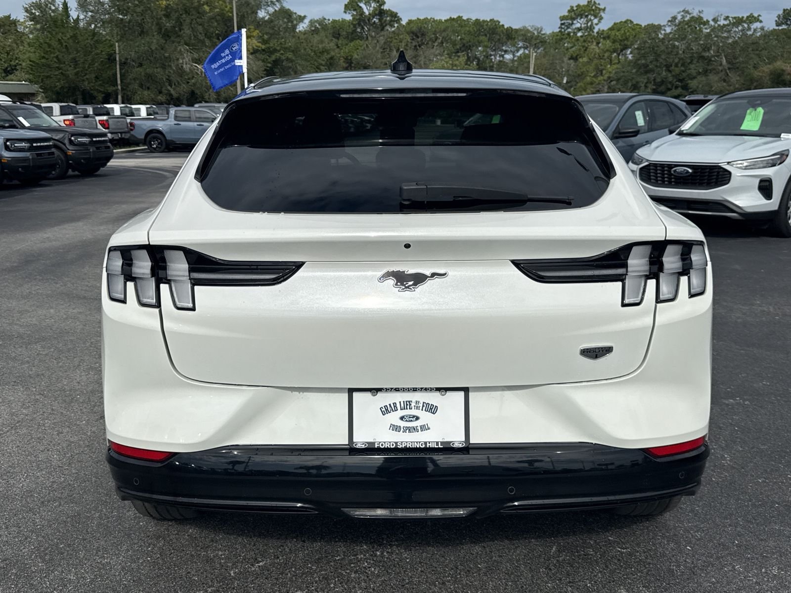 Certified Used 2023 White Metallic Ford California Route 1 image 6